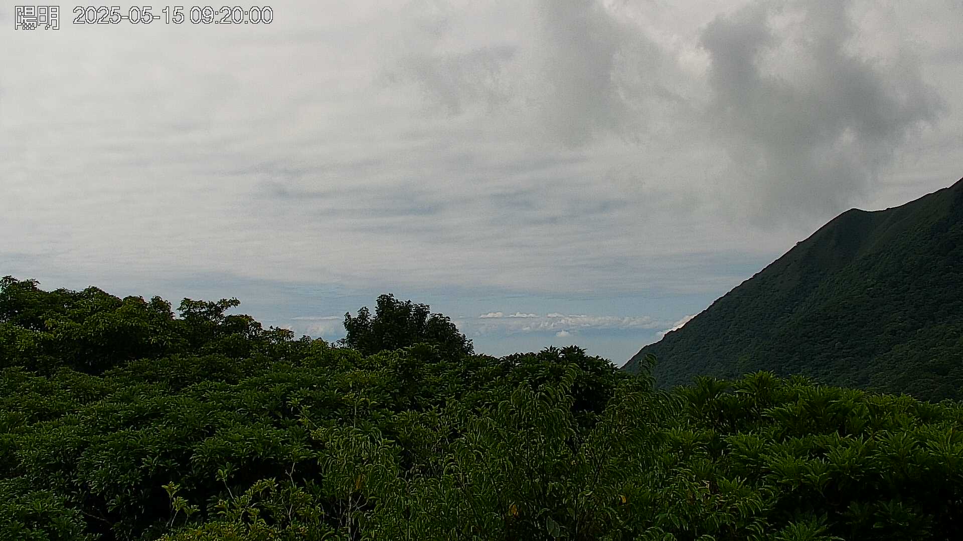 陽明山的天氣 cctv 監視器 即時交通資訊