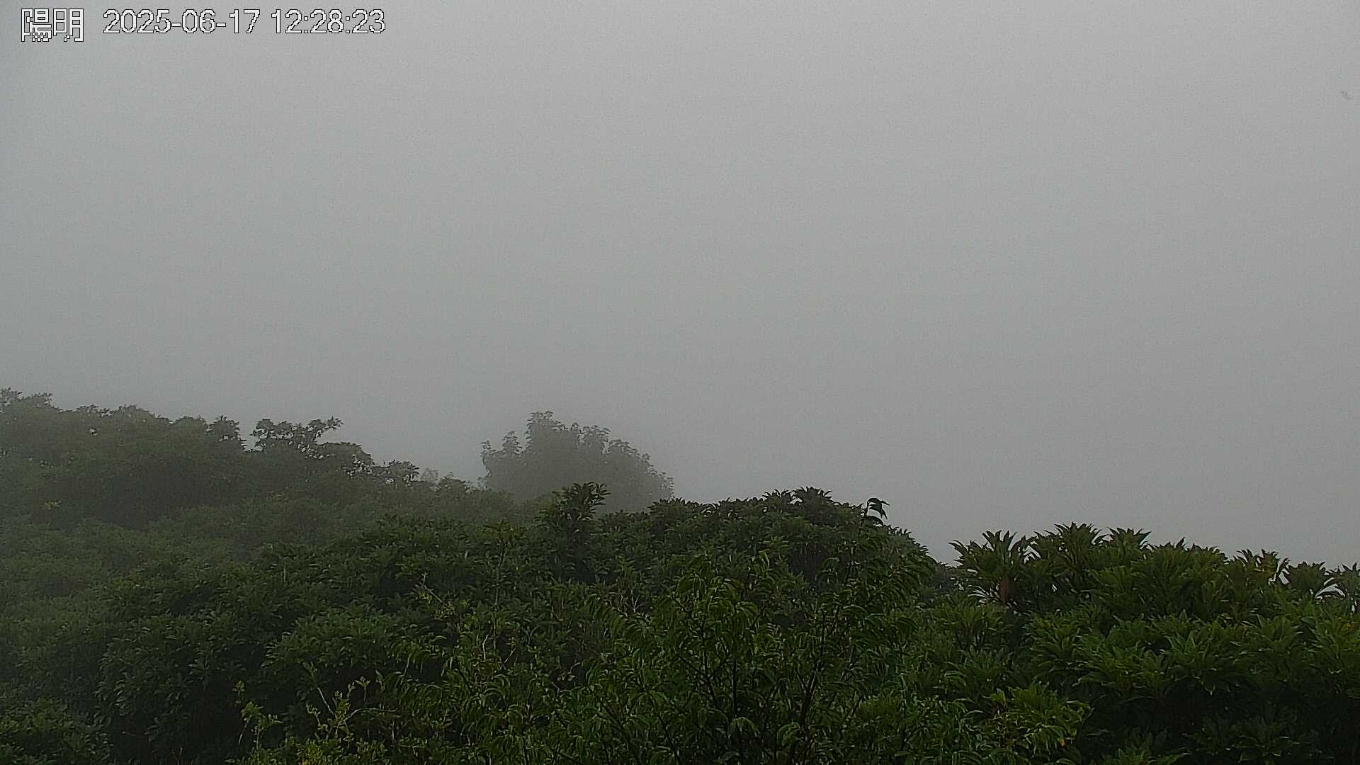 陽明山的天氣 cctv 監視器 即時交通資訊