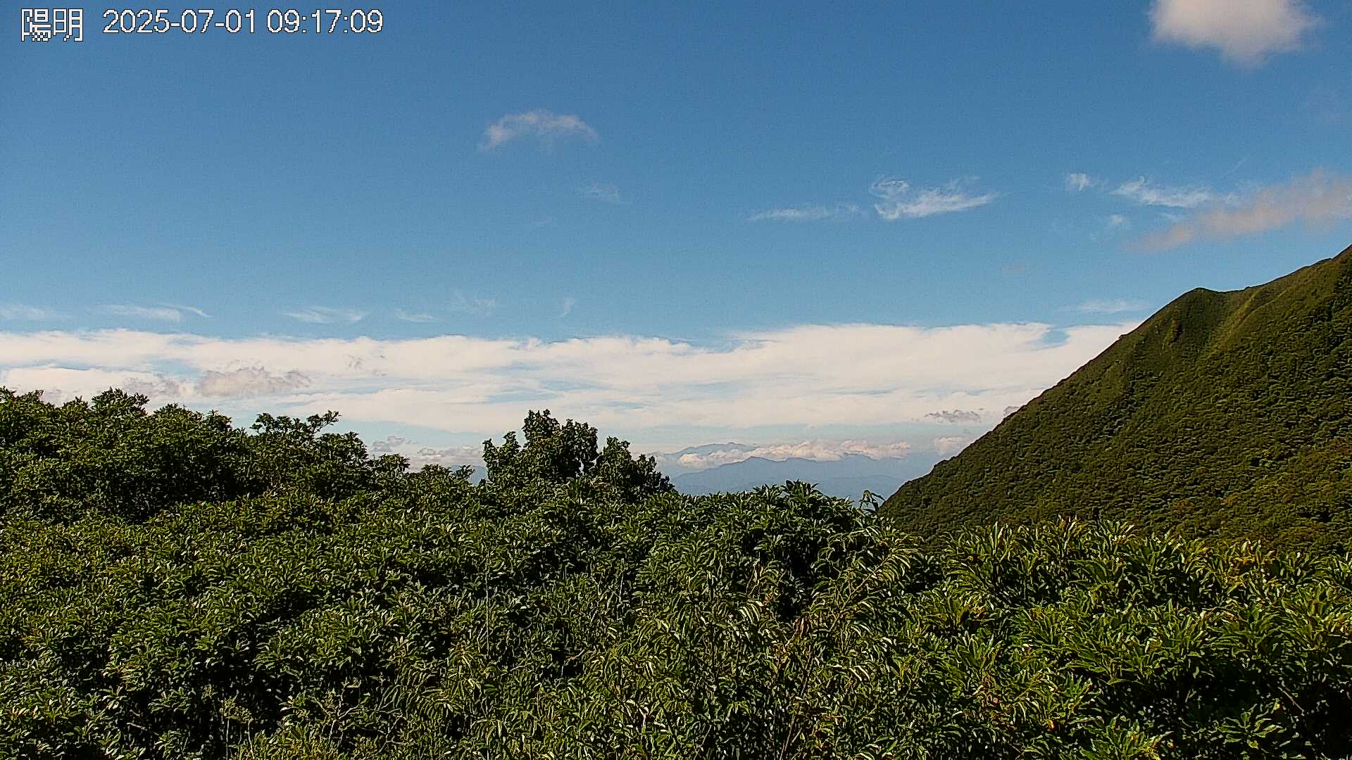 陽明山的天氣 cctv 監視器 即時交通資訊