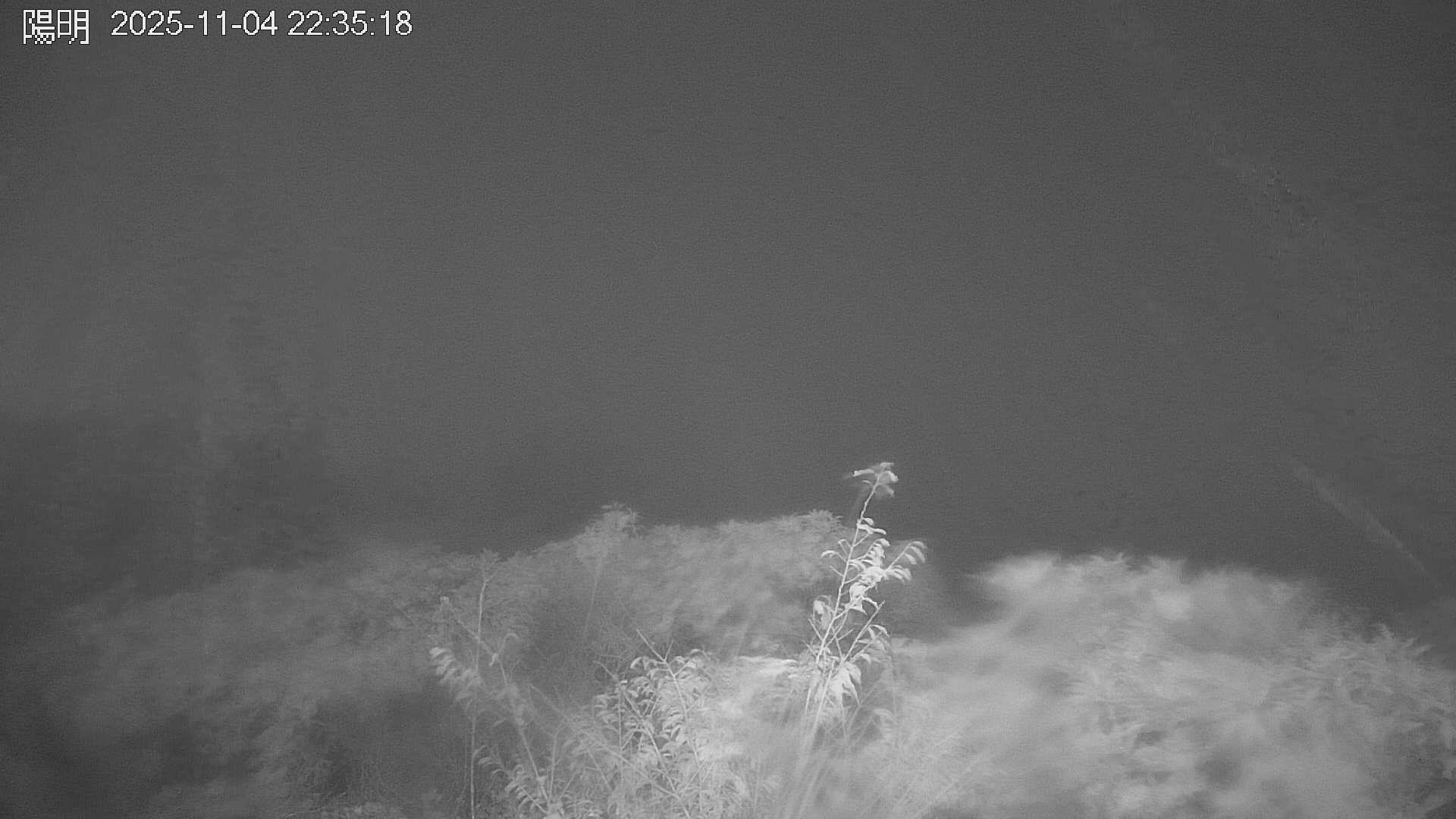 陽明山的天氣 cctv 監視器 即時交通資訊 陽明山的天氣 cctv 監視器 即時交通資訊