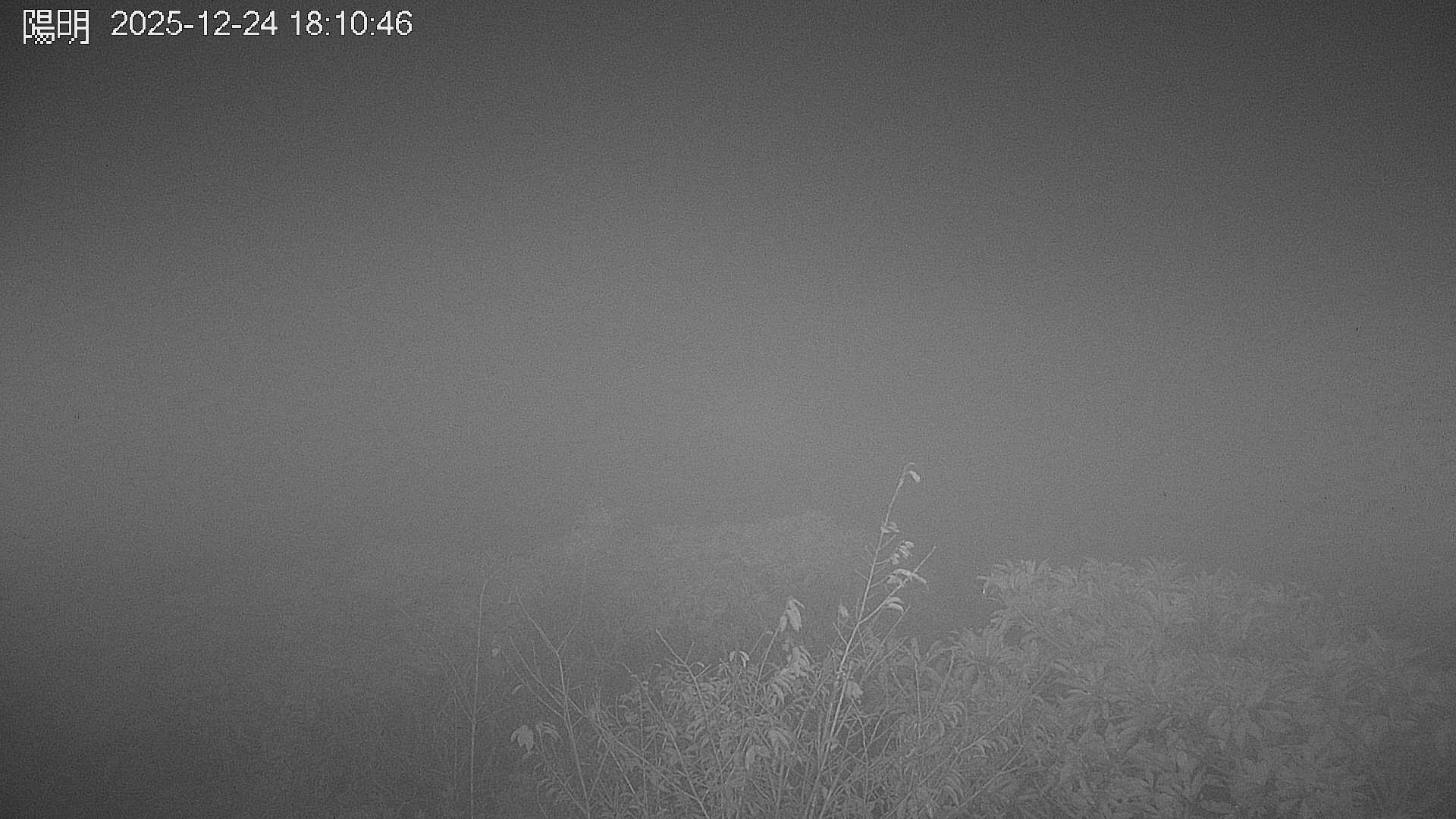 陽明山的天氣 cctv 監視器 即時交通資訊