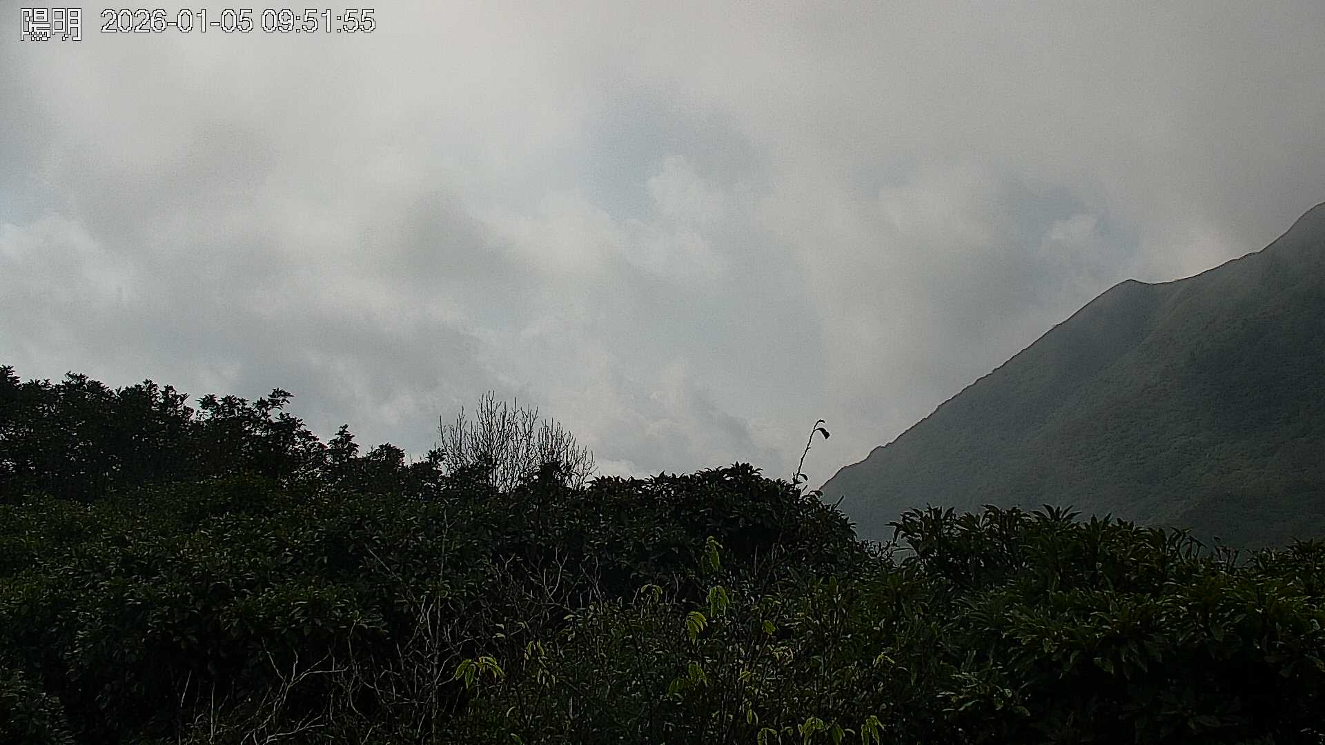 陽明山的天氣 cctv 監視器 即時交通資訊