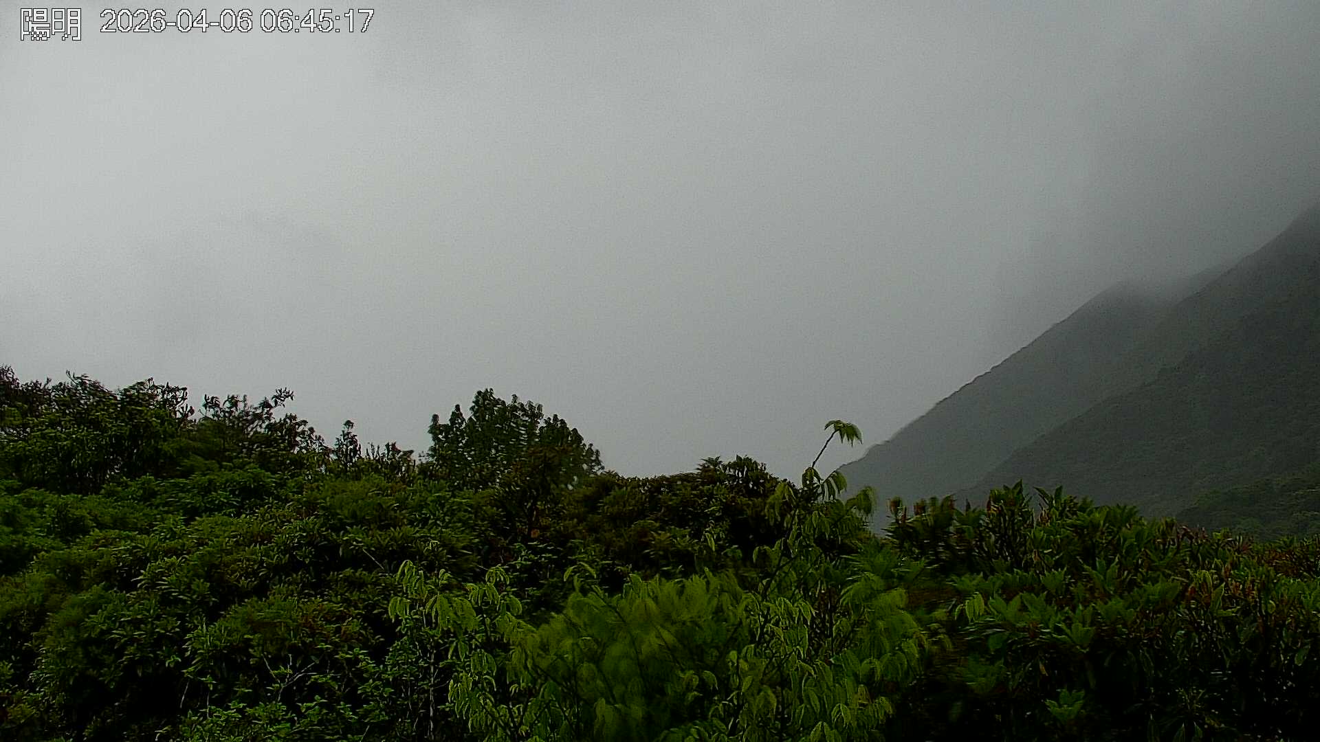 陽明山的天氣 cctv 監視器 即時交通資訊 陽明山的天氣 cctv 監視器 即時交通資訊