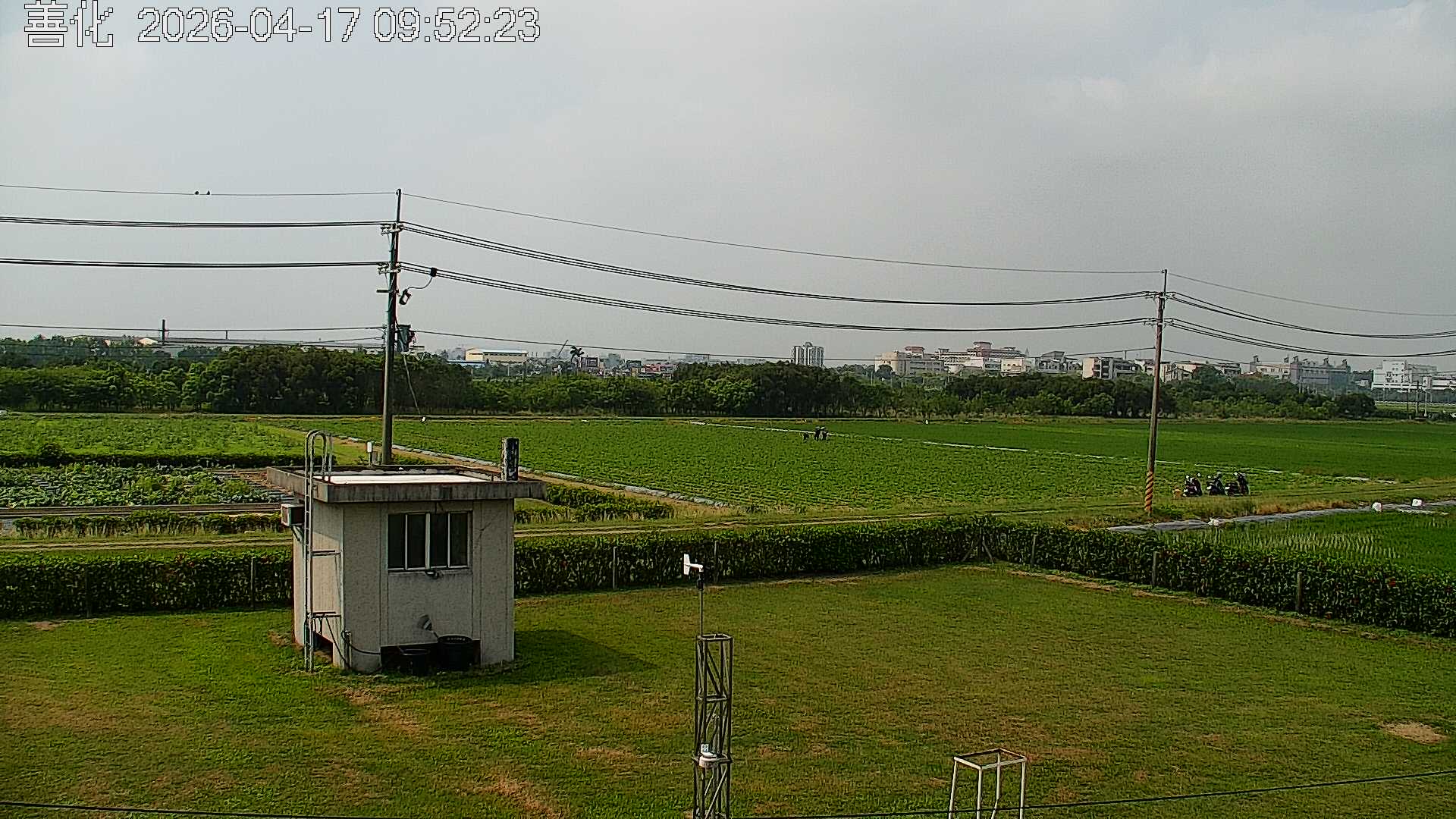 善化的天氣 cctv 監視器 即時交通資訊