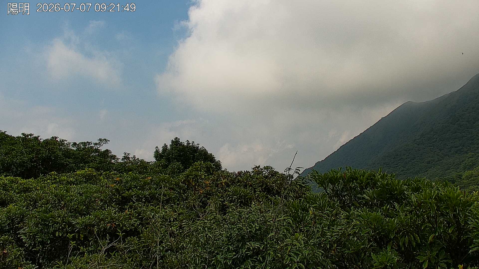 陽明山的天氣 cctv 監視器 即時交通資訊 陽明山的天氣 cctv 監視器 即時交通資訊