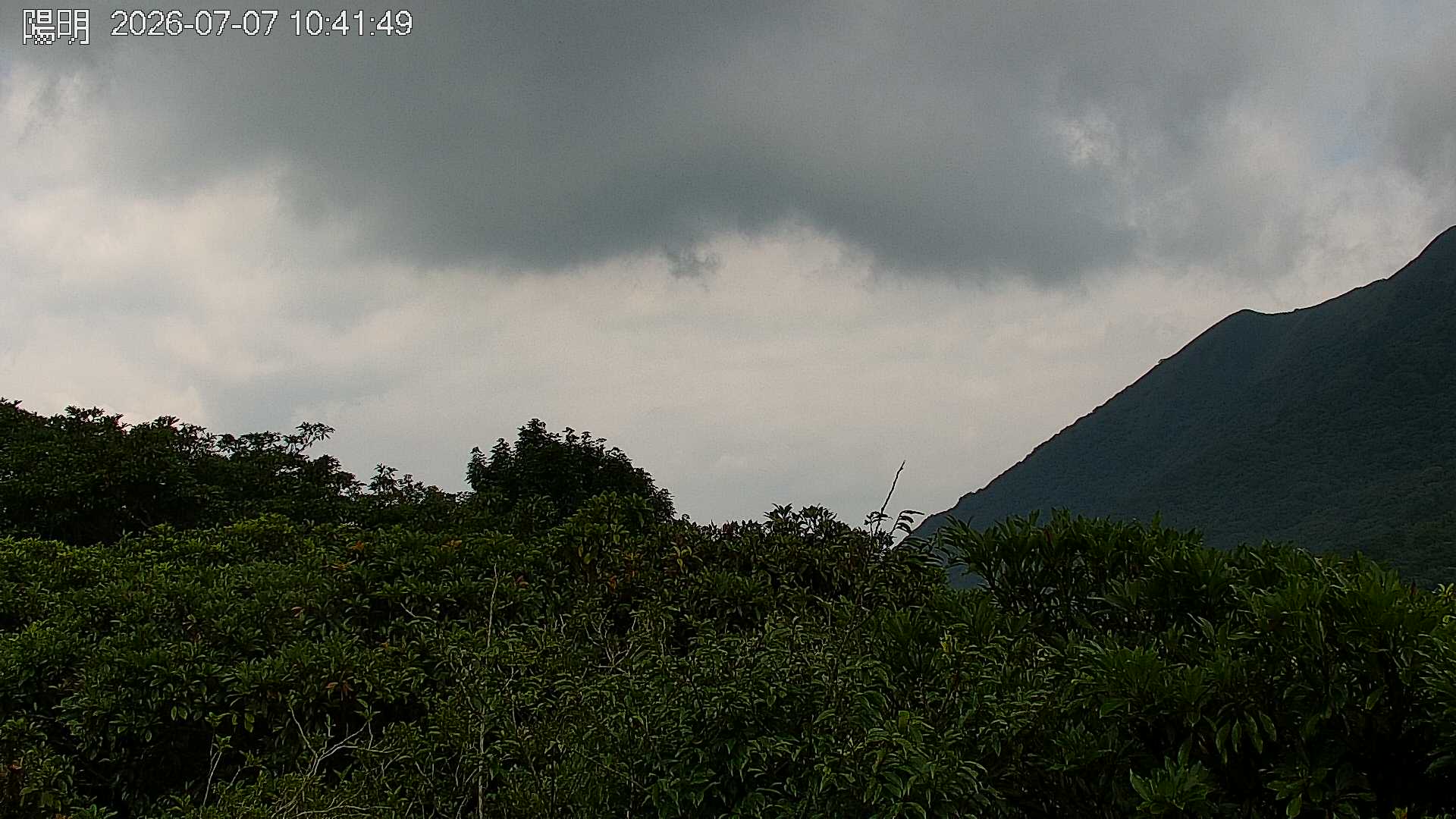 陽明山的天氣 cctv 監視器 即時交通資訊 陽明山的天氣 cctv 監視器 即時交通資訊
