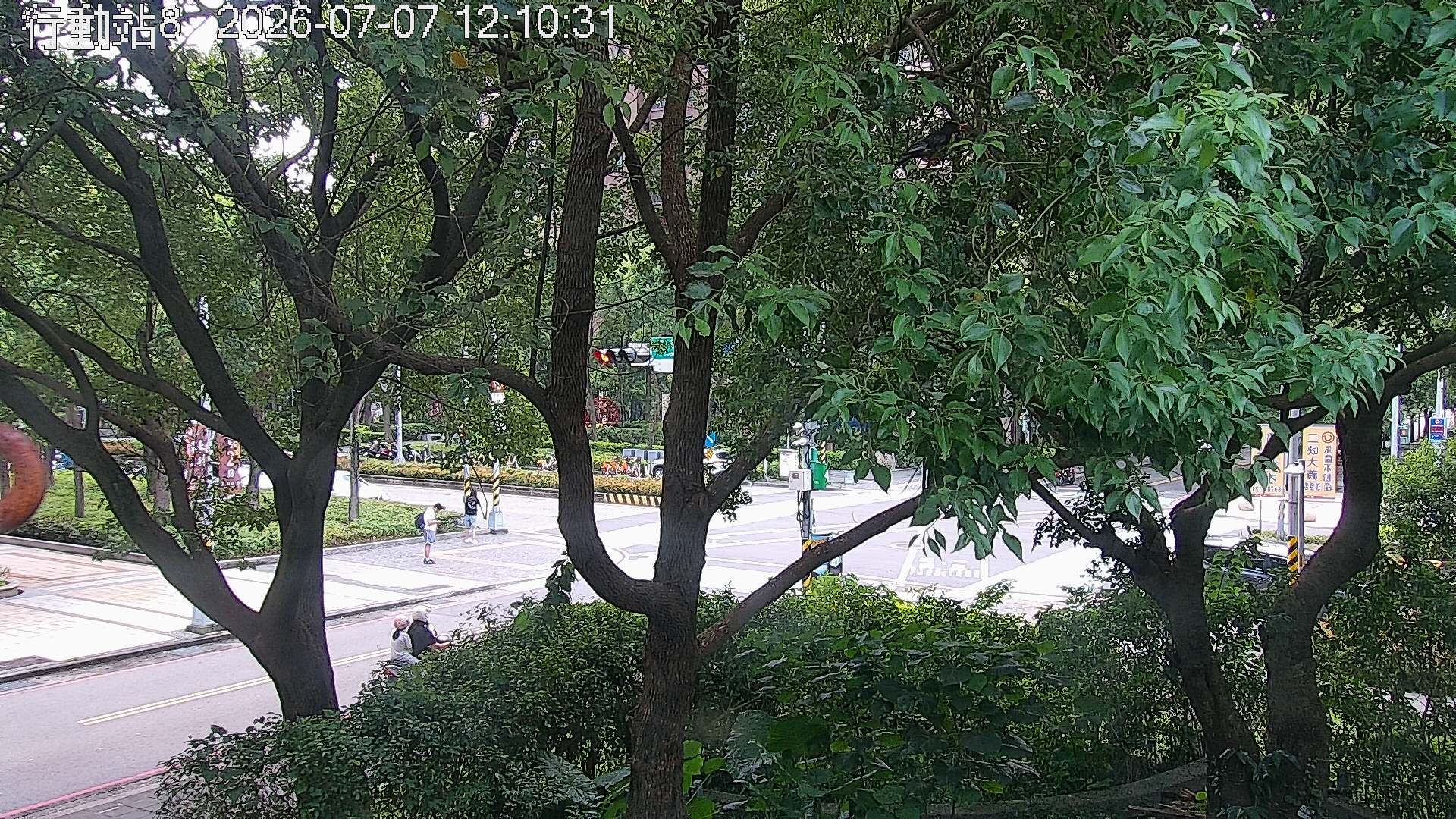 新北(樹林)的天氣 cctv 監視器 即時交通資訊 新北(樹林)的天氣 cctv 監視器 即時交通資訊