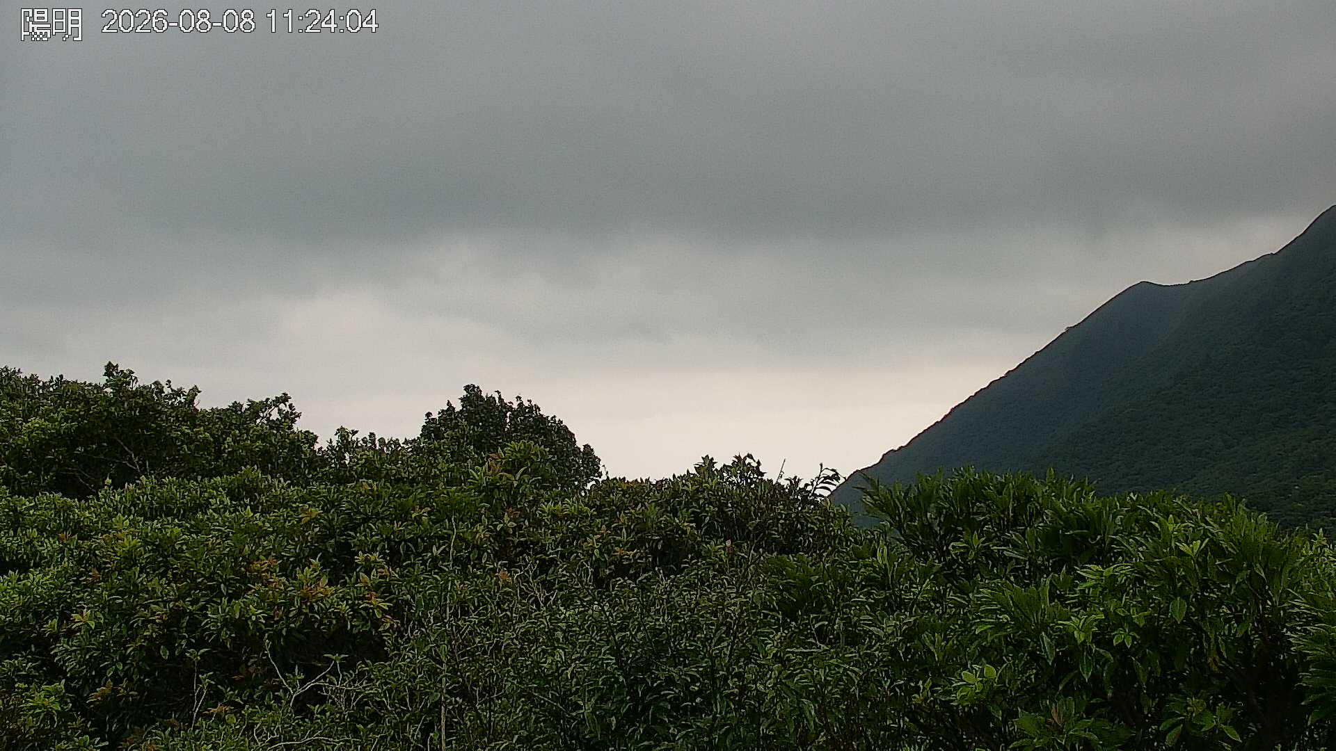 陽明山的天氣 cctv 監視器 即時交通資訊