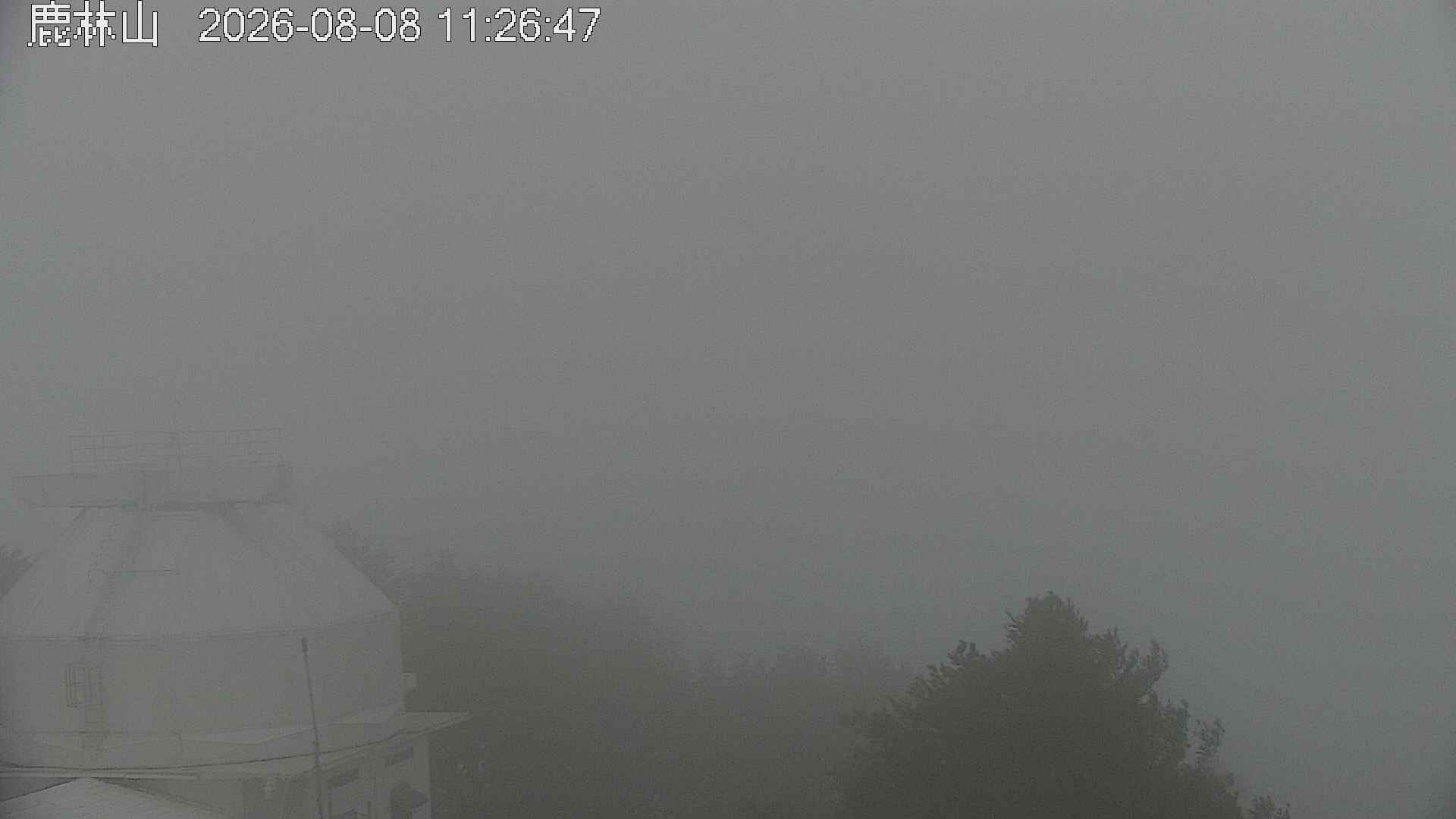 鹿林山的天氣 cctv 監視器 即時交通資訊