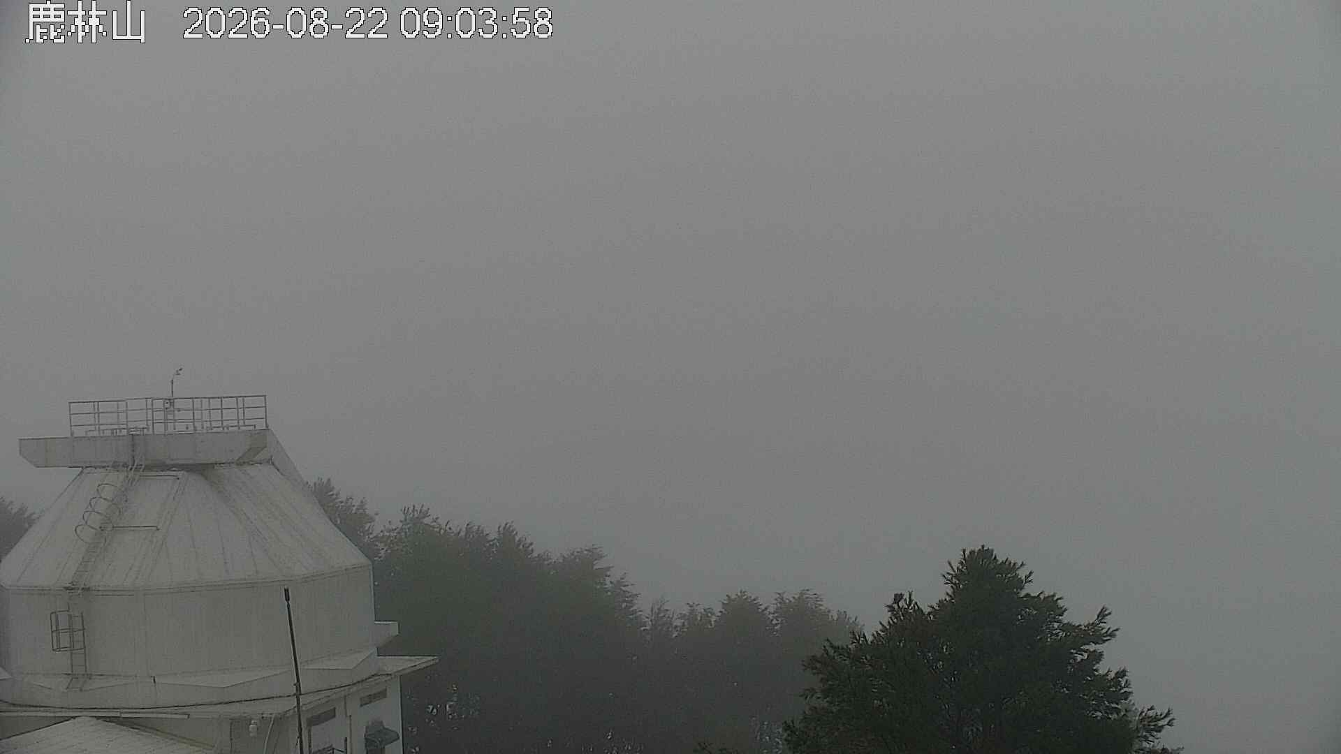 鹿林山的天氣 cctv 監視器 即時交通資訊 鹿林山的天氣 cctv 監視器 即時交通資訊