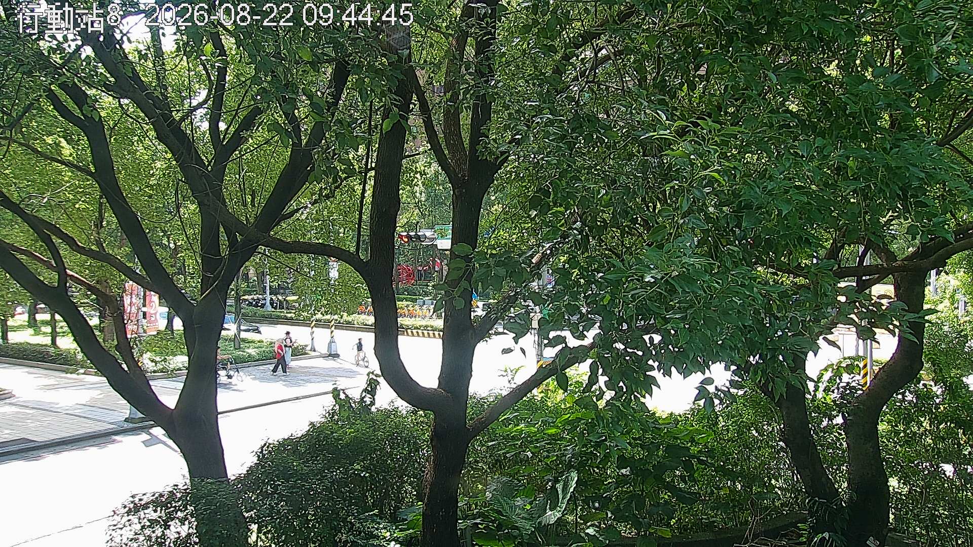 新北(樹林)的天氣 cctv 監視器 即時交通資訊 新北(樹林)的天氣 cctv 監視器 即時交通資訊